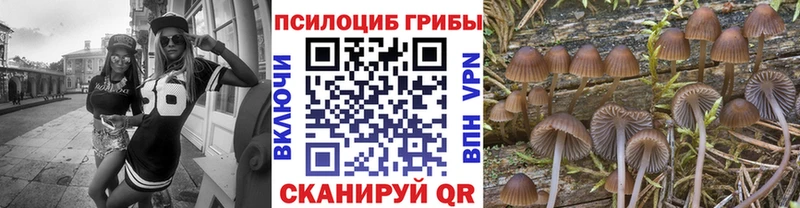 Купить где  Пущино  Галлюциногенные грибы прущие грибы 
