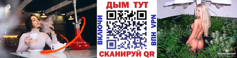 Каннабис план  Купить где  Пущино 